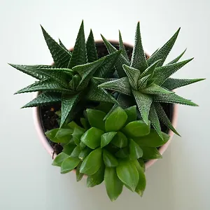 Botanic Garden Cosy, Parking, Métro, Netflix Appartement
